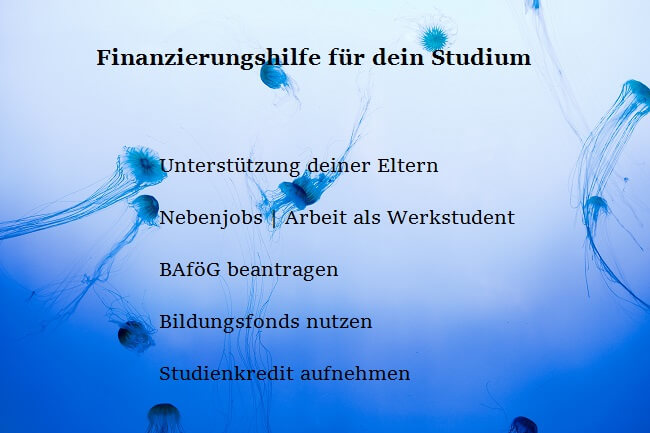Blauer Meer mit Quallen + Stichpunkte zur Studienfinanzierung