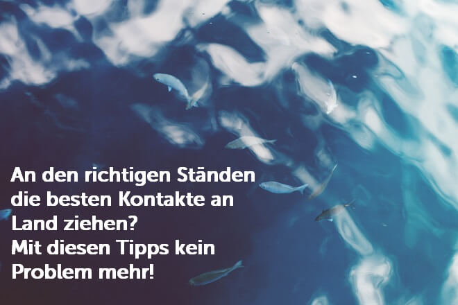 Fischschwarm im Wasser abfotografiert