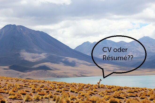 Paarhufer an einem Steppenufer vor einem See mit der Frage CV oder Resume?